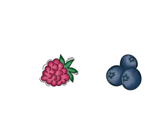 grafika z maliną i jagodami © Paulina