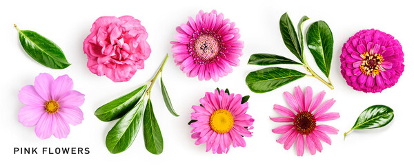 Pink flowers and green leaves set. Gerbera, echinacea, aster, zinnia, cosmos and rose flower isolated. - obrazy, fototapety, plakaty