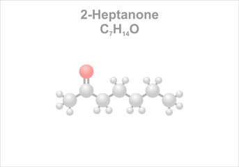 Simplified scheme of the 2-Heptanone molecule. Contributes to the odor of sweaty clothing.