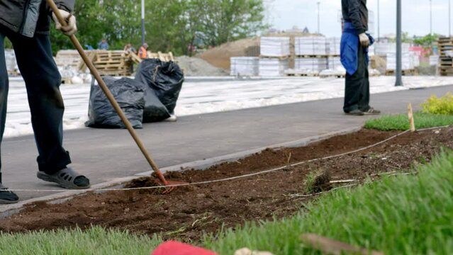 Workers in uniform prepare ground near sidewalk for planting grass on lawn at daytime. Employee uses rake for preparing soil before planting