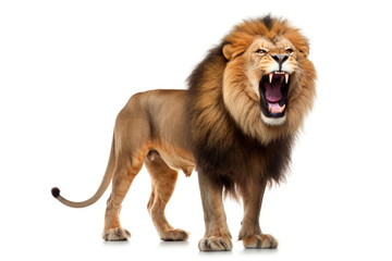 Obraz na płótnie Canvas Roaring Lion King in Isolation. Generative AI