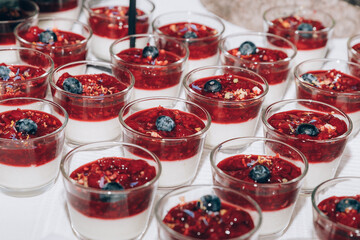 Fototapeta na wymiar Panna cotta pots with berries sauce. Food catering on special occasions.