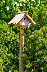 Wooden Birdhouse Mounted On A Post Among Evergreen Trees