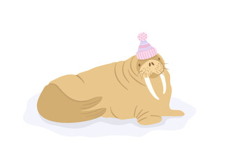 Walrus in pompon hat. Vector cute isolated illustration.