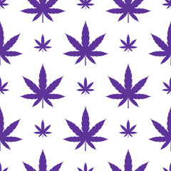 Fototapeta na wymiar Purple Cannabis Leaves Seamless Pattern on White background 