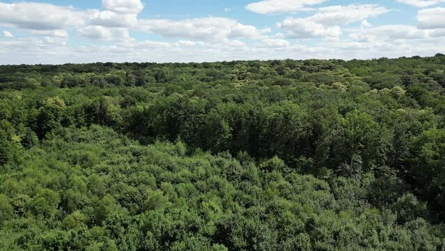 For&ecirc;t de Fausses Reposes