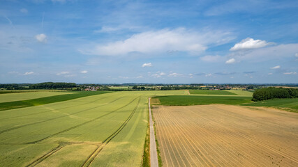 Nature and landscape, an Aerial view of a field, cultivation, green grass, countryside, farming, dirt road. High quality photo