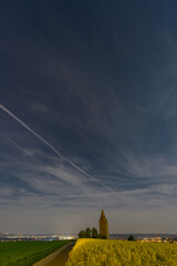 Full moon illuminated rapeseed fielt with old watchtower in the background. taken around midnight