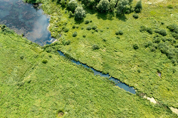Drone-captured photo: Serene lake surrounded by green grass, clear sunny weather. Vibrant and tranquil summer landscape with reflective lake, adding depth and beauty to the scene.