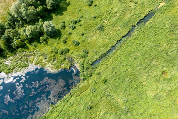 Drone-captured photo: Serene lake surrounded by green grass, clear sunny weather. Vibrant and tranquil summer landscape with reflective lake, adding depth and beauty to the scene.