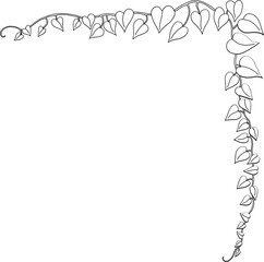 Fototapeta premium Simplicity ivy freehand drawing