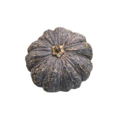 pumpkin isolated on white background
