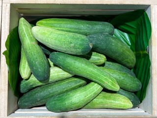 cucumbers in the market