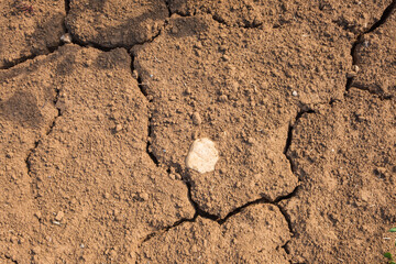 Dry soil, visible sign of climate change
