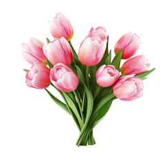 Tulip Flower Bouquet Isolated. Illustration AI Generative.