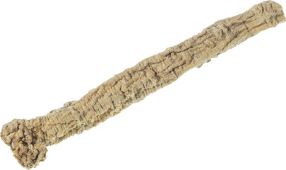 dang shen cut out on transparent background.