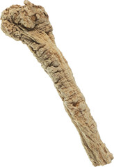 dang shen cut out on transparent background.