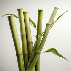 Obraz premium a vibrant and tall bamboo plant with lush green leaves