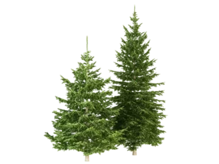Meubelstickers christmas tree isolated on white © Hanh
