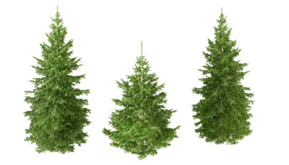 christmas tree isolated on white