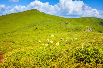 Beautiful view on the Ukrainian Polonynian Beskids to the mountains and valleys. Rocky peaks of the Ukrainian Carpathians in summer. Water-making ridge in the Carpathians, Carpathian mountains