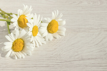 On a wooden surface lies a bouquet of fresh field daisies.