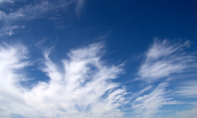Naklejka na ściany i meble White fluffy clouds in the sky.