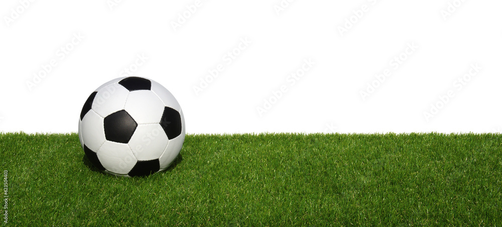 Wall mural Soccer ball on green grass