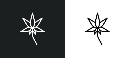 marijuana icon isolated in white and black colors. marijuana outline vector icon from signs collection for web, mobile apps and ui.