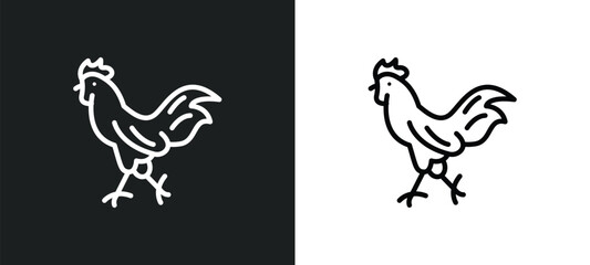 chicken icon isolated in white and black colors. chicken outline vector icon from religion collection for web, mobile apps and ui.