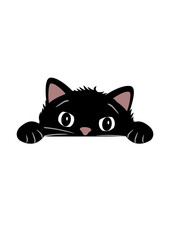 Peeping funny black cat