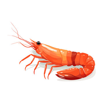 Shrimp image isolated. Shrimp icon. Cute red prawn in flat design.