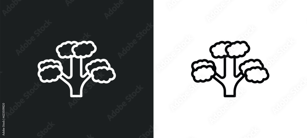 Poster pitch pine tree icon isolated in white and black colors. pitch pine tree outline vector icon from nature collection for web, mobile apps and ui.