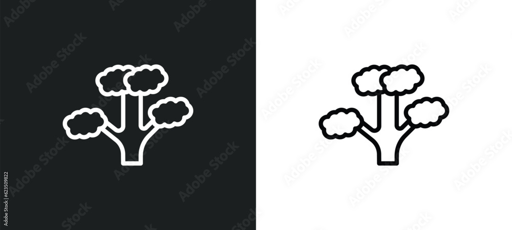 Poster slippery elm tree icon isolated in white and black colors. slippery elm tree outline vector icon from nature collection for web, mobile apps and ui.
