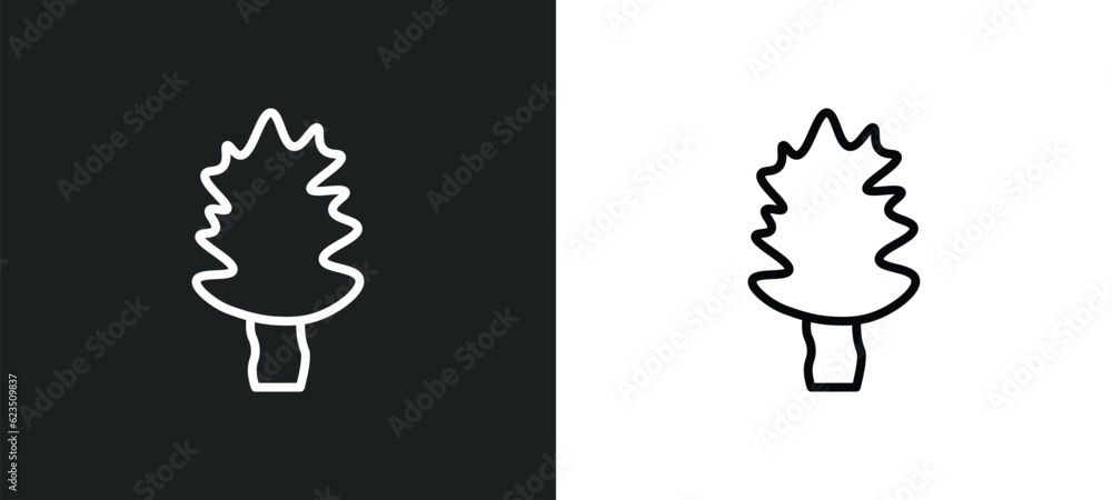 Poster cucumber tree tree icon isolated in white and black colors. cucumber tree outline vector icon from n