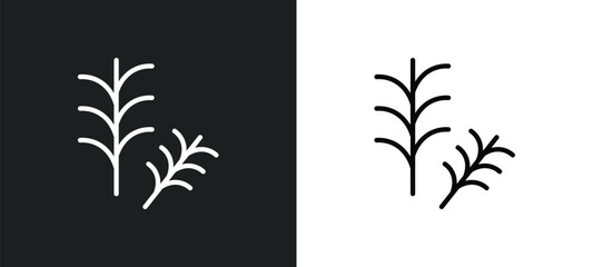 rosemary icon isolated in white and black colors. rosemary outline vector icon from nature collection for web, mobile apps and ui.