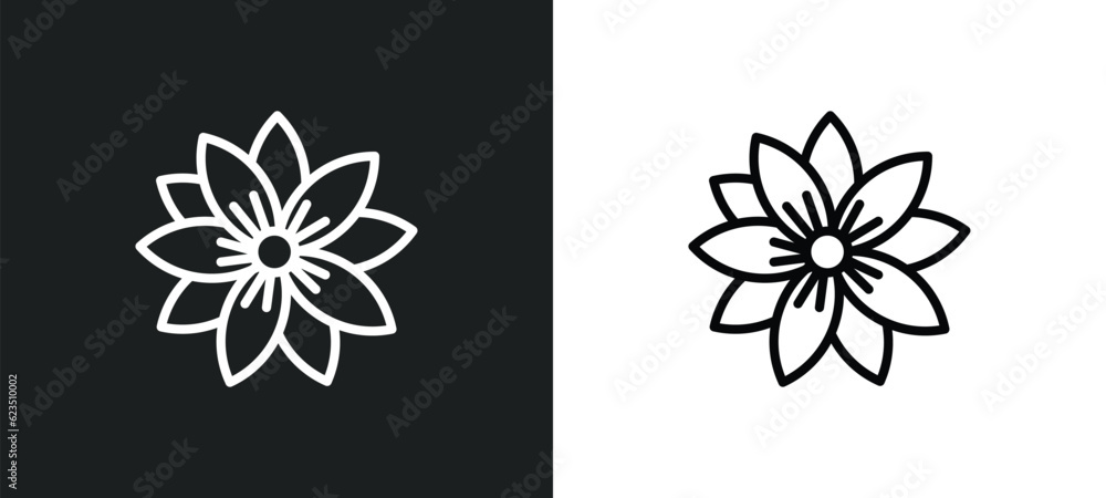 Poster hypericum icon isolated in white and black colors. hypericum outline vector icon from nature collection for web, mobile apps and ui.