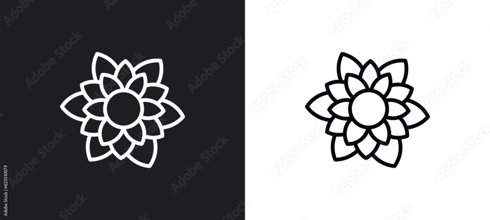 Poster dahlia icon isolated in white and black colors. dahlia outline vector icon from nature collection fo
