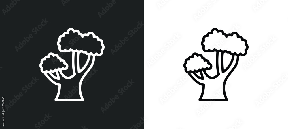 Poster chestnut oak tree icon isolated in white and black colors. chestnut oak tree outline vector icon fro