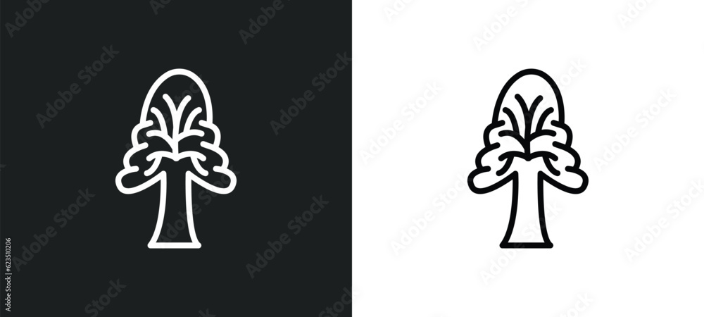 Poster the oaks tree icon isolated in white and black colors. the oaks tree outline vector icon from nature