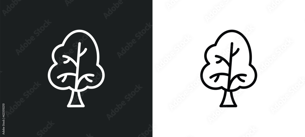 Poster sugar maple tree icon isolated in white and black colors. sugar maple tree outline vector icon from 