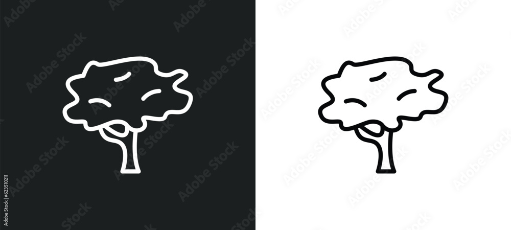 Poster red maple tree icon isolated in white and black colors. red maple tree outline vector icon from natu