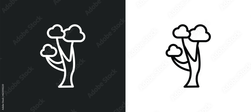 Poster gray birch tree icon isolated in white and black colors. gray birch tree outline vector icon from na