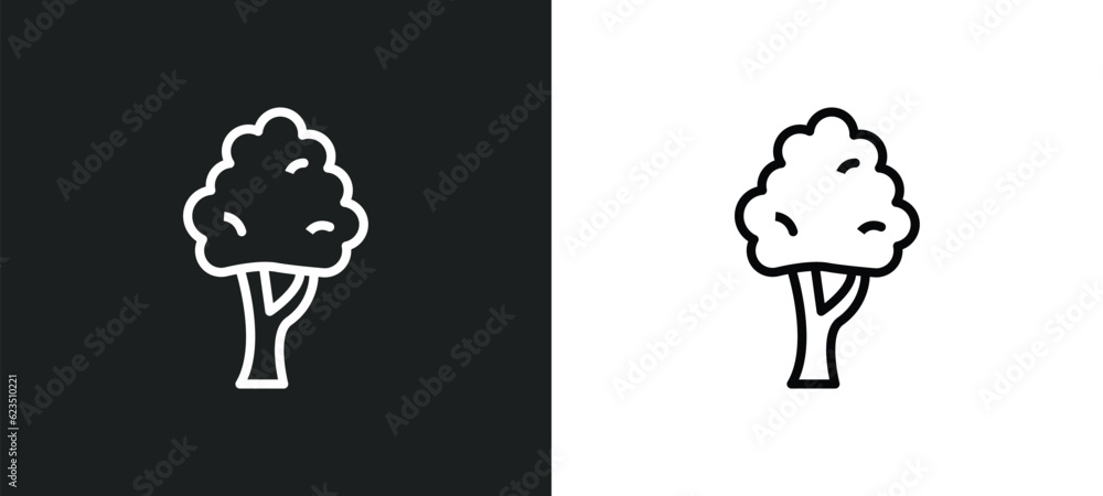 Poster black birch tree icon isolated in white and black colors. black birch tree outline vector icon from 