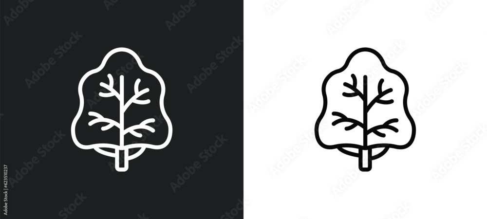 Aufkleber white ash tree icon isolated in white and black colors. white ash tree outline vector icon from natu