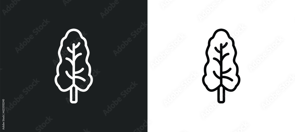 Poster black ash tree icon isolated in white and black colors. black ash tree outline vector icon from natu