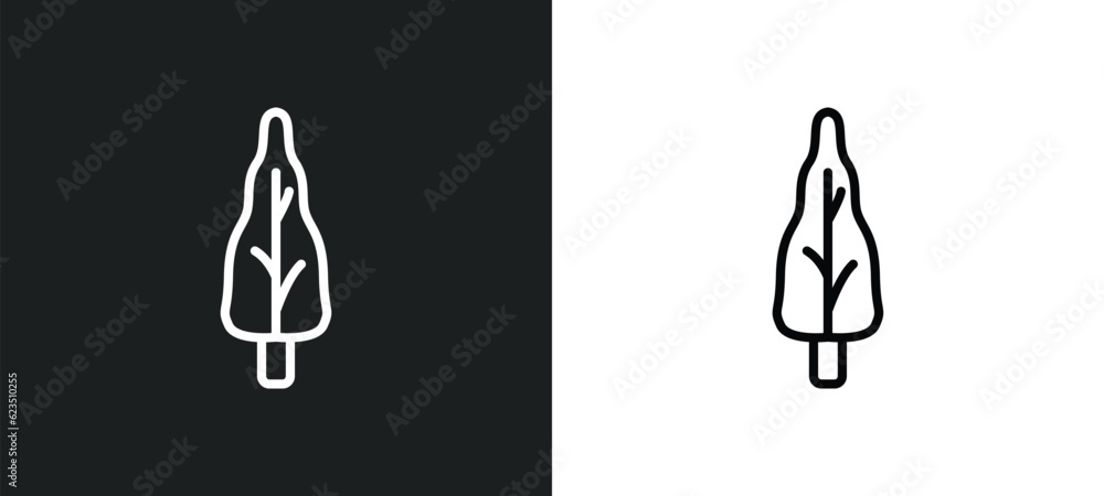 Poster arborvitae tree icon isolated in white and black colors. arborvitae tree outline vector icon from na