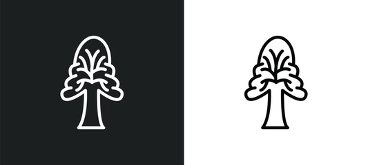 the oaks tree icon isolated in white and black colors. the oaks tree outline vector icon from nature collection for web, mobile apps and ui.