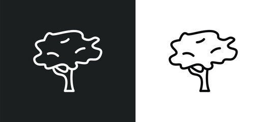 red maple tree icon isolated in white and black colors. red maple tree outline vector icon from nature collection for web, mobile apps and ui.