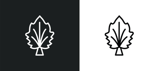 silver maple tree icon isolated in white and black colors. silver maple tree outline vector icon from nature collection for web, mobile apps and ui.